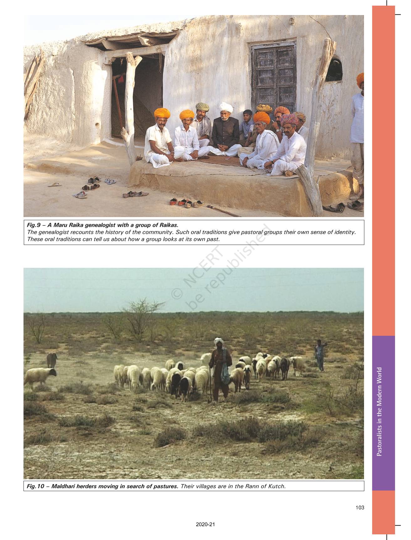 pastoralists-in-the-modern-world-ncert-book-of-class-9-history-india